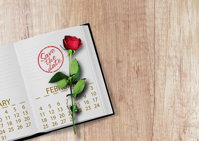 save the date book