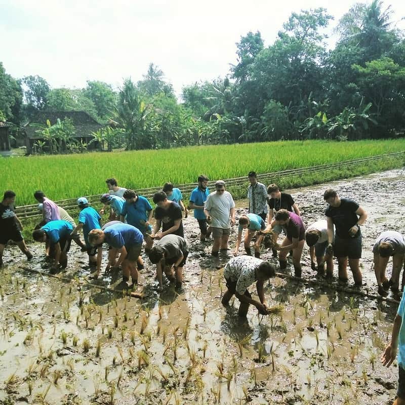 Desa Wisata Tembi Yogyakarta Sumber Instagram desawisatatembi-min