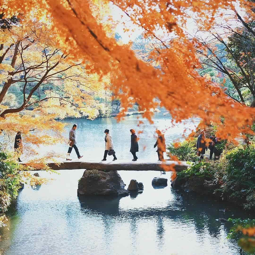 Spot Instagramable di Tokyo Buat Foto ala Selebgram
